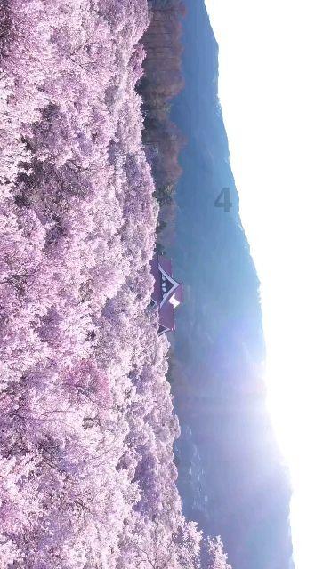 没有人愿意成下一个“华为”？美国对中企的禁令，没有人敢违背！