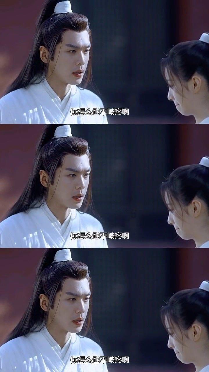 呆萌动物对对碰