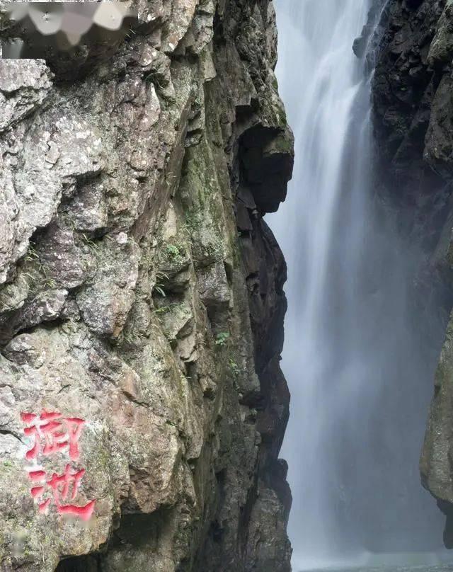 河南鲁山县:农家芥菜丝俏走市场